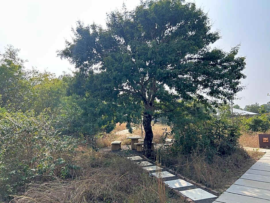 Tree of Life Ramvilas, Bandhavgarh