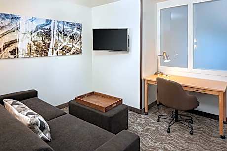 One-Bedroom King Suite with Sofa Bed