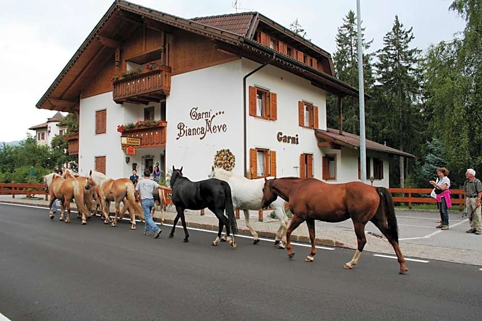 Garni Biancaneve Ruffrè-Mendola