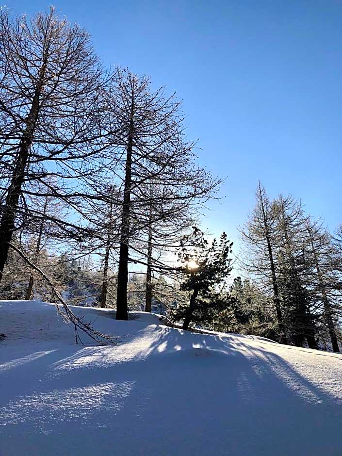 Rifugio Baita Gimont