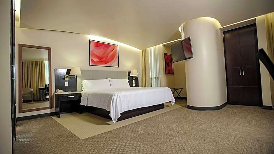 Holiday Inn Hotel & Suites Mexico Medica Sur By IHG