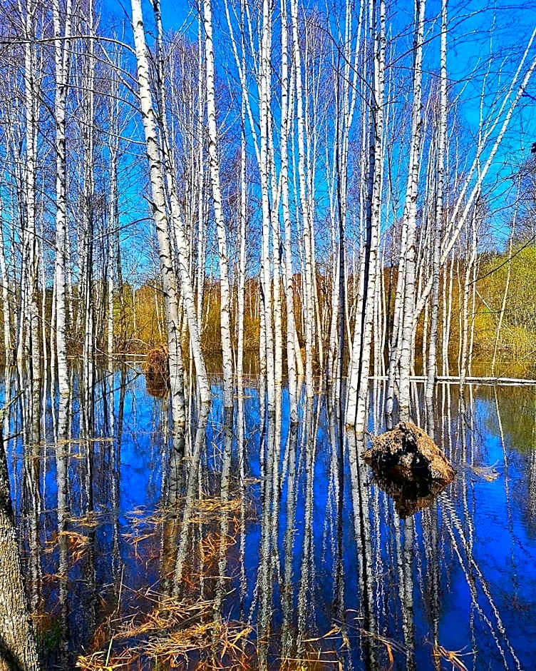 Prášily 100 - apartmány