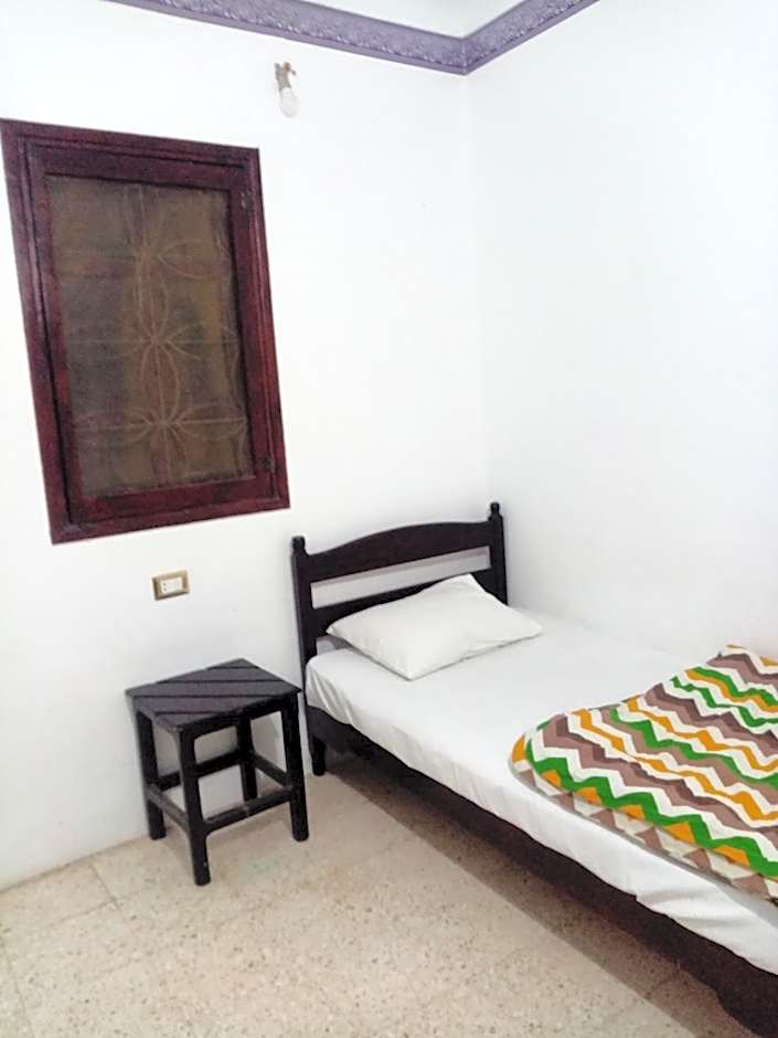 Oasis Fighting Kangaroo