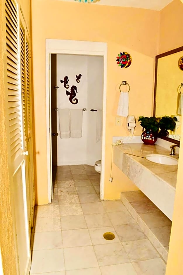 VILLA PARA 8p 6A 2M dentro del HOTEL a un costado del Krystal IXTAPA cuenta con playa y WIFI