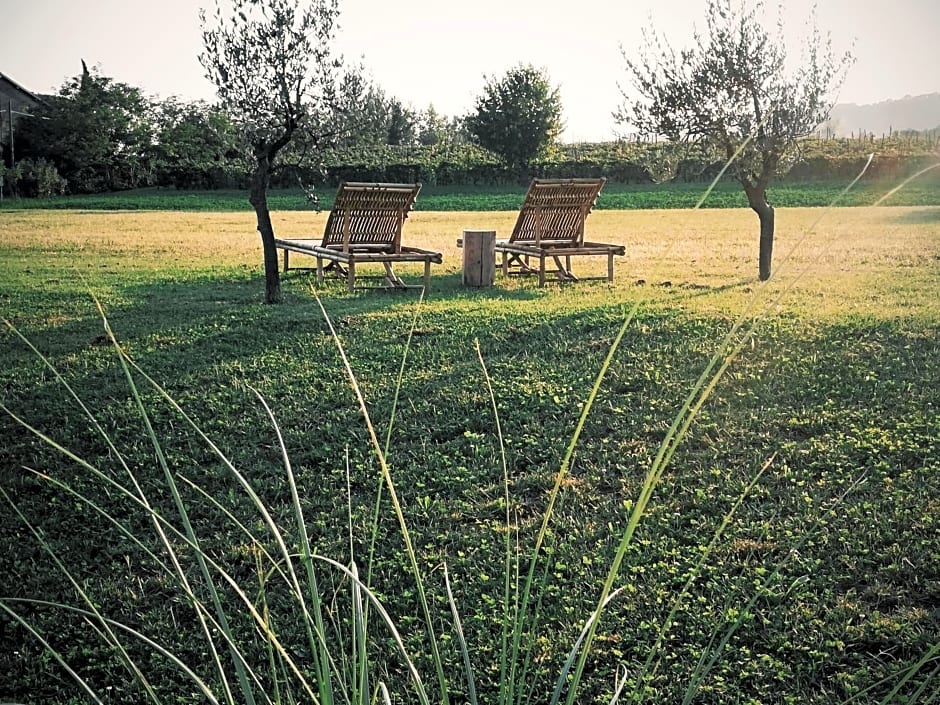 Bed & Breakfast IL PAJO