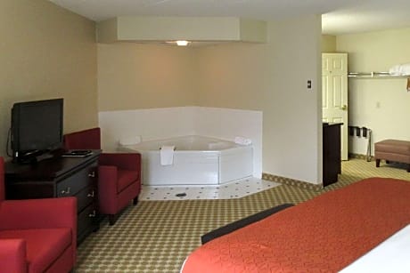 One-Bedroom King Suite with Sofa Bed