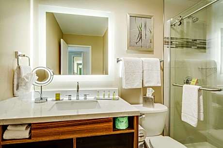 1 King Pull Out Sofa Governors Suite