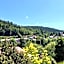 Vila Jáchymov