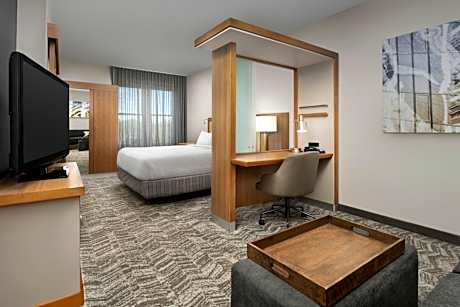 King Suite with Roll-In Shower and Trundle Sofa - Mobility Access