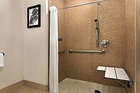 Queen Room with Roll-In Shower - Disability Access/Non-Smoking