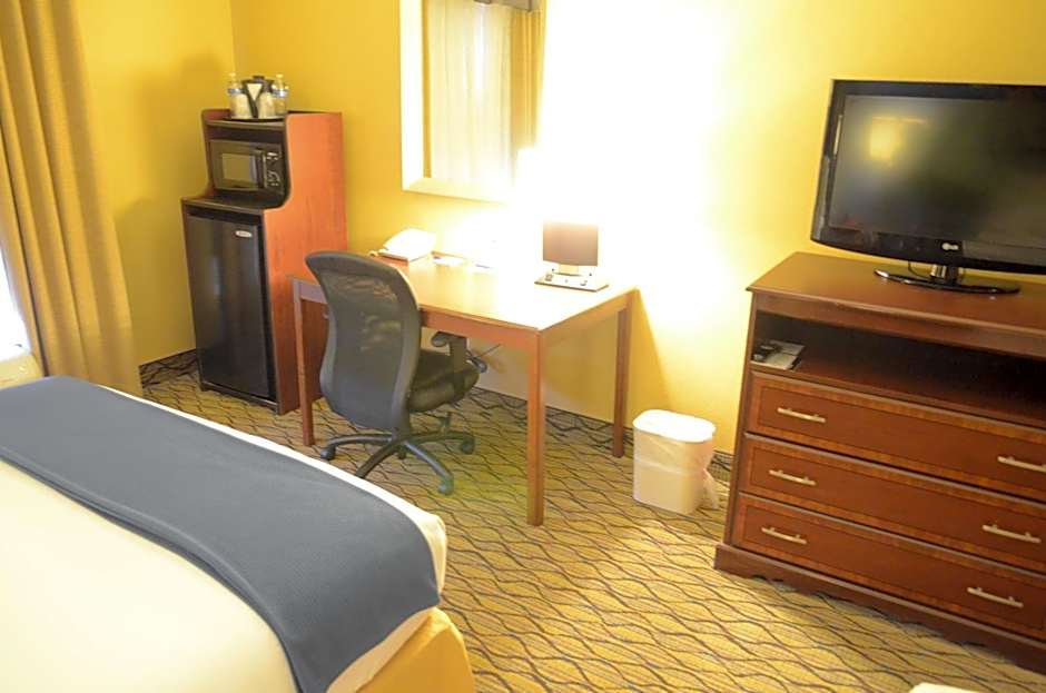 Holiday Inn Express Hotel & Suites Houston-Downtown Convention Center By IHG