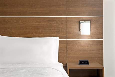 King Suite with Sofa Bed