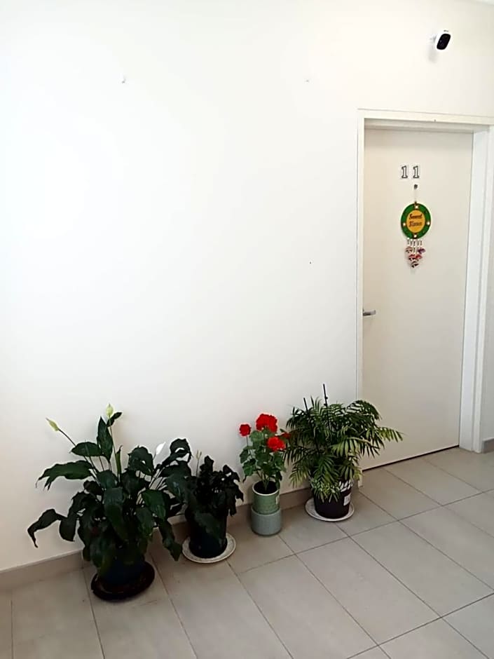 Peaceful Retreat in Prime Sydney