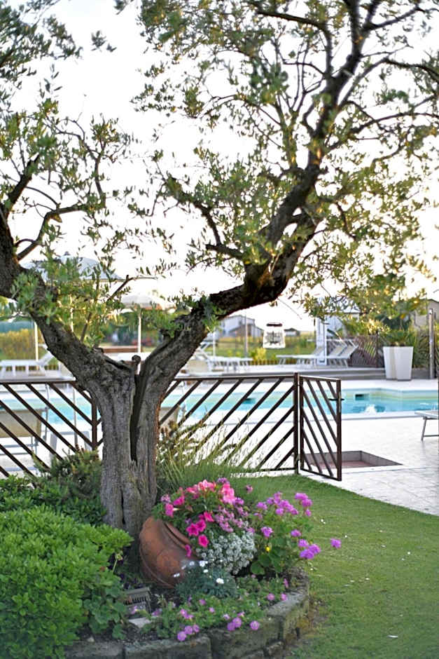 Agriturismo B&B Vista Parco