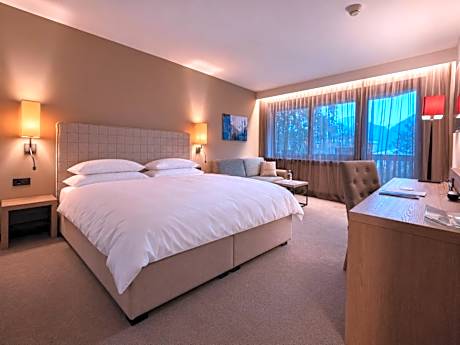 Large Double or Twin Room