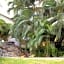 Park Royal Beach Ixtapa - All Inclusive