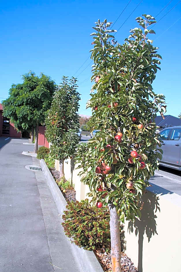 Blenheim Spa Motor Lodge