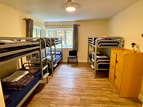 Bed in 6-Bed Mixed Dormitory Room