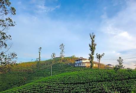 Tranquil Ridge Hilltop Bungalow