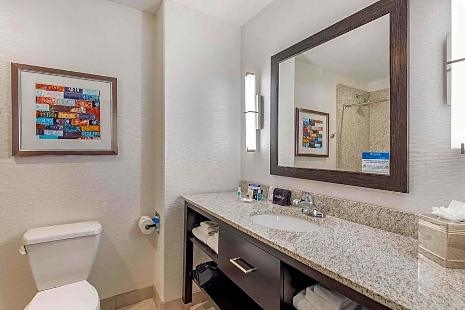 Comfort Inn & Suites Brighton Denver NE Medical Center