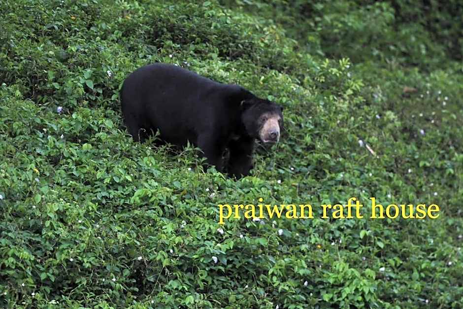 PraiwanRaftHouse ¿¿¿¿¿¿¿¿¿¿