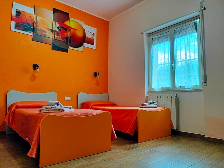 B&B Max