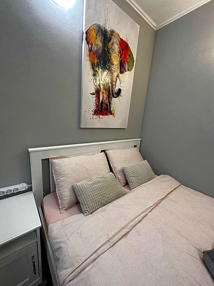 One Room Apartment Decebal