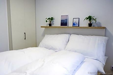 One-Bedroom Apartment with Terrace