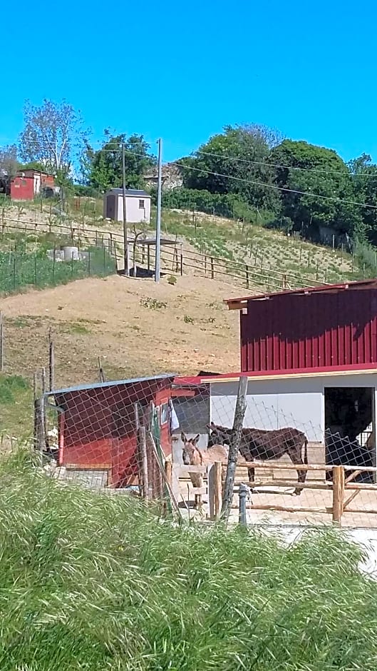 Alla Contrada degli Asinelli