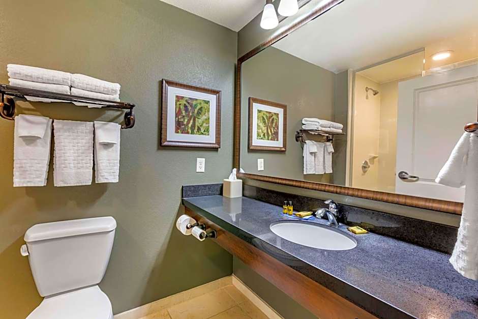 Best Western Plus Chandler Hotel & Suites