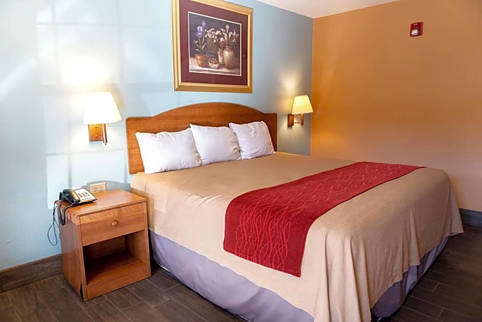 Sky Palace Inn By OYO Anthony KS