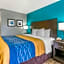 Comfort Inn Sun City Center-Tampa South