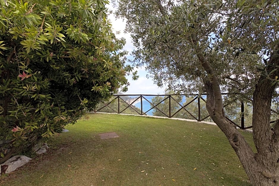 Villa Degli Ulivi B&B