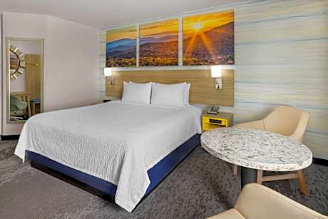 1 King Bed, Non-Smoking
