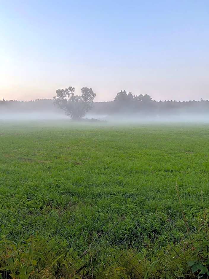 Agroturystyka Zacisze Guciów