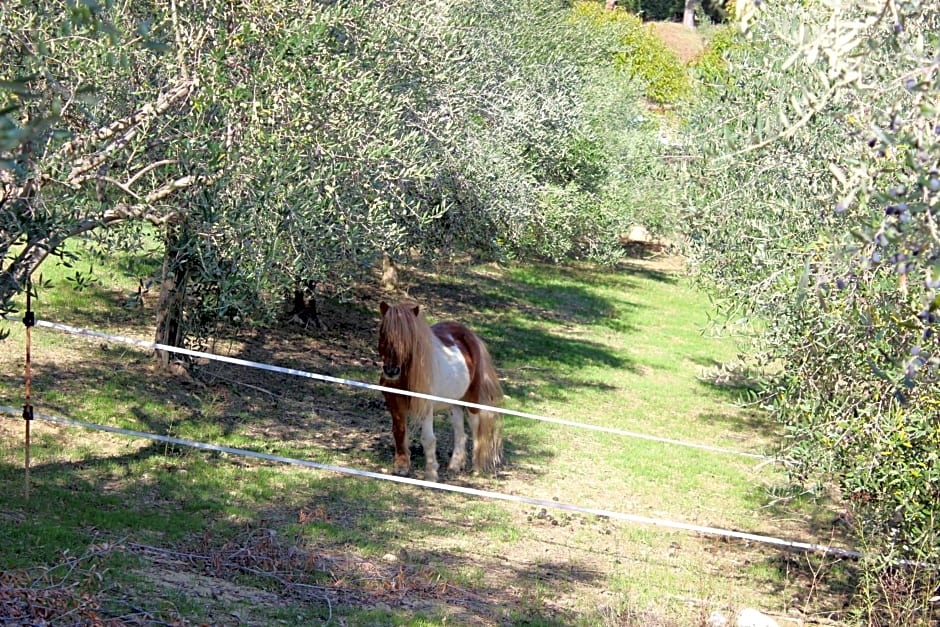 Casale delle Rose Casa Vacanze