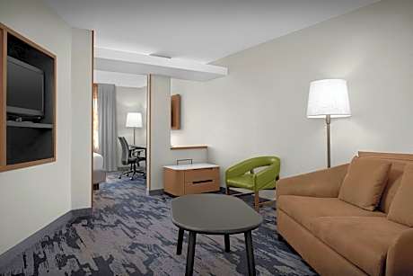 Studio, 1 King Bed with Sofa bed (1 King Bed and 1 Double Sofa Bed)