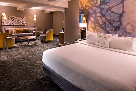 King Suite with Sofa Bed