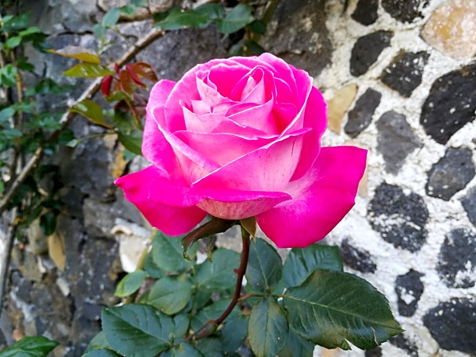 La Baronessa B&B