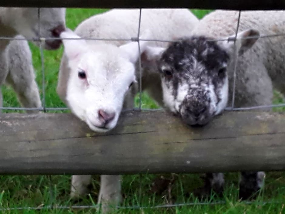 Sharlands Farm Bed and Breakfast
