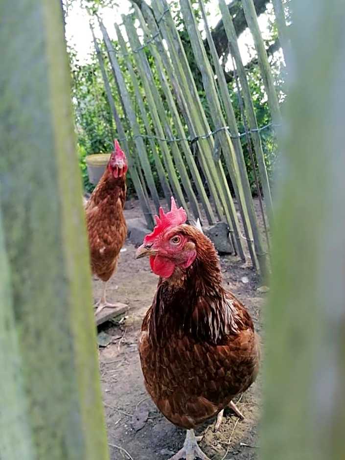 B&B Lekker Buiten