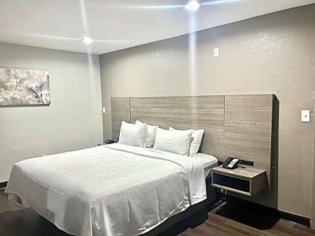 King Suite with Roll-In Shower - Disability Access/Non Smoking