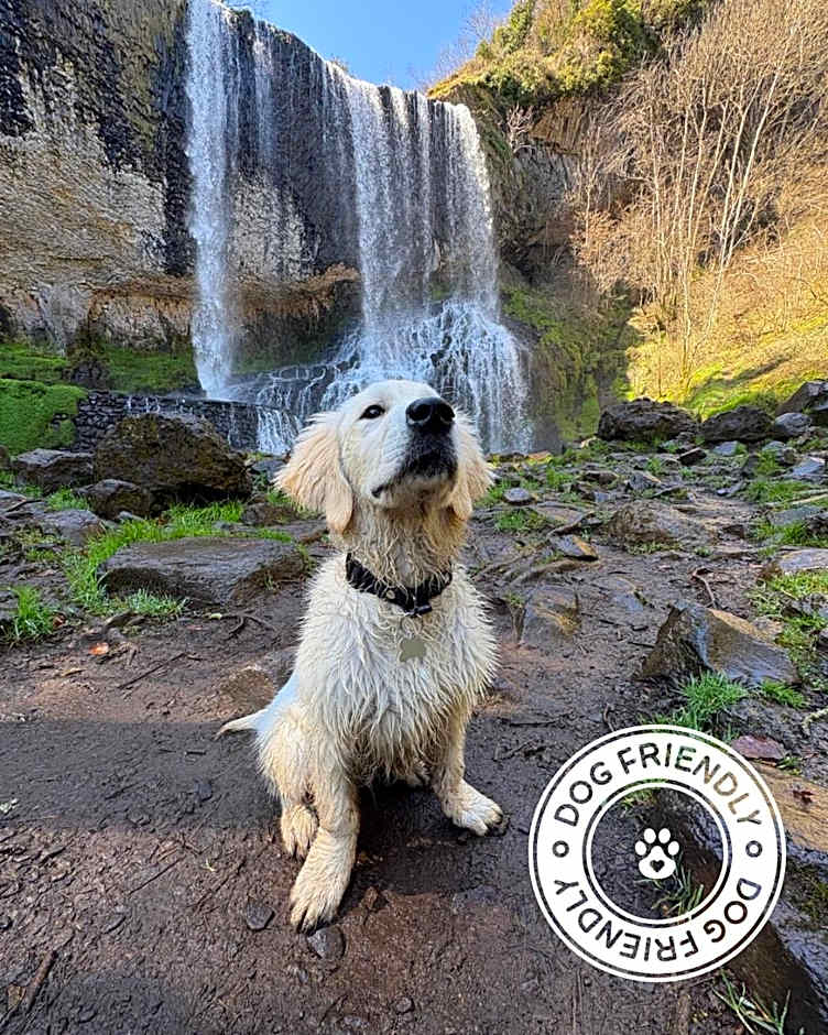 Cit'hôtel Le Chris'tel hôtel et restaurant