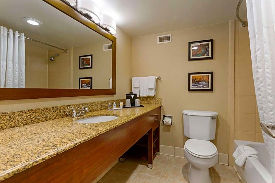 Comfort Inn & Suites Presidential