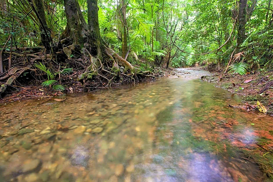 Daintree Peaks ECO Stays