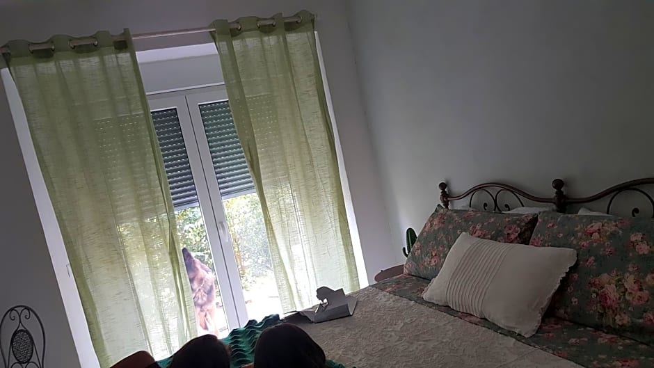 Amore a prima vista b&b