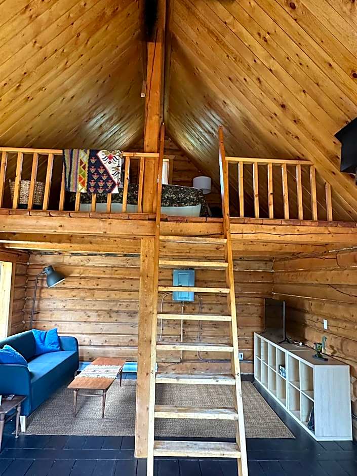 Dry Log Cabin with Mountain Views