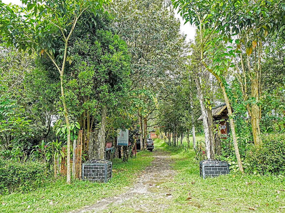Hotel O Kampung Wisata Ekologi Puspa JagadNearGunung Kelud