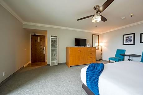 Premier King Room