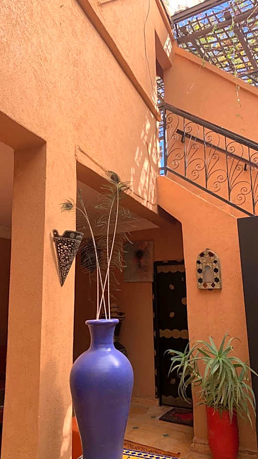 Auberge Ayam Atlas- pool 10mn away